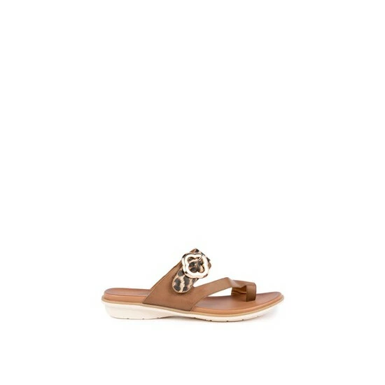 unnamed-file-421.jpg Lunar Larkin Brown Leopard Strappy Sandals -Lunar Shop unnamed file 421
